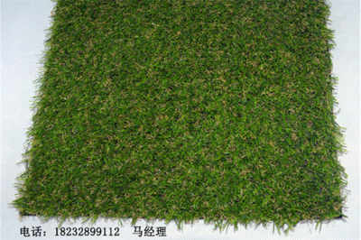 新聞 德州武城人造草坪單價(jià)無毒環(huán)保 廠家