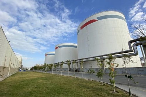 安琪酵母海外工廠 扎根當地，共筑綠色未來